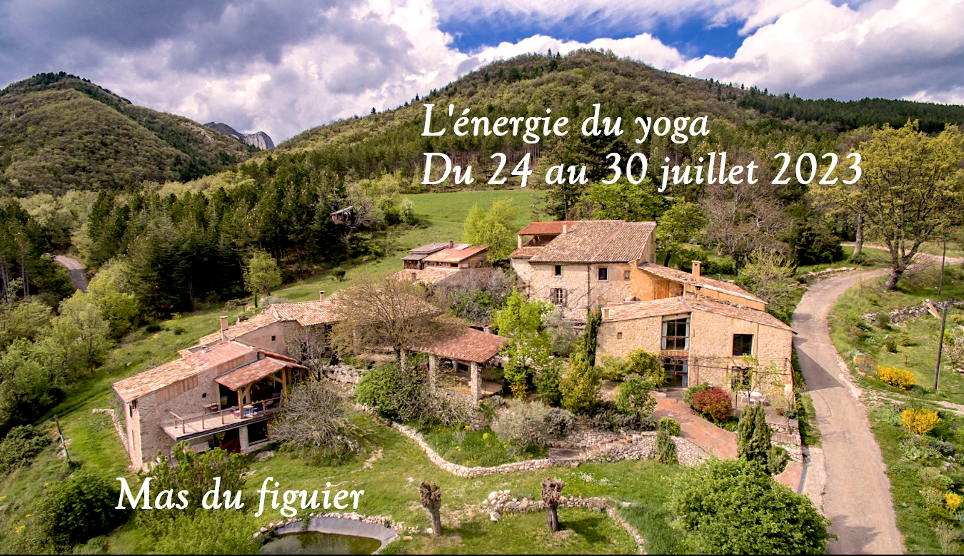 PHOTO FINALE FIGUIER