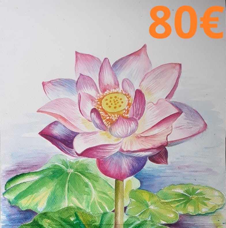 80€